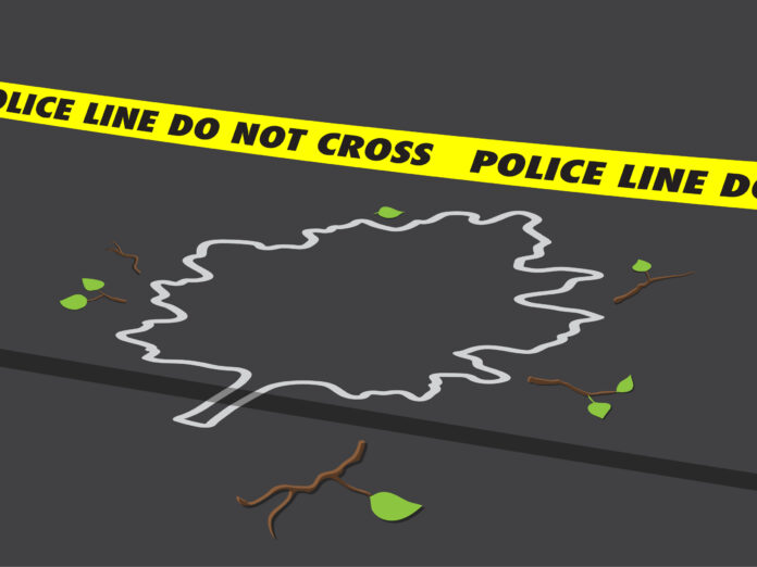 pruning illustration
