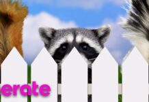 Critter Cam: If You’re Not Paying Attention to the Creatures in the Yard, You’re Missing Out